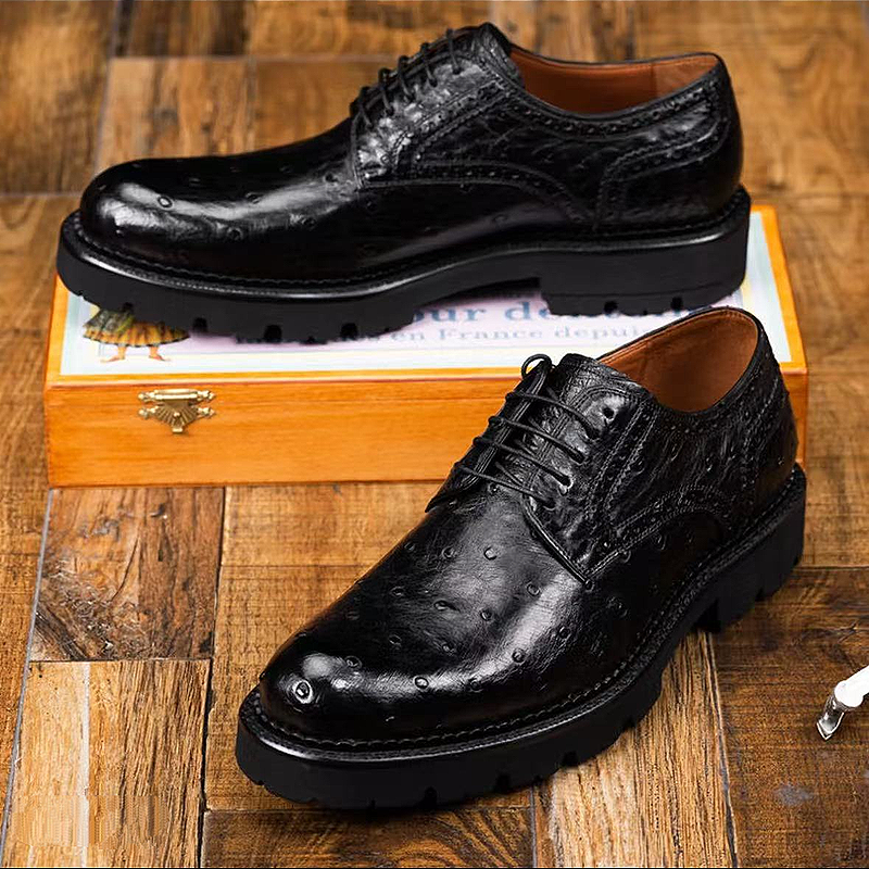Ostrich Print Derby Shoe
