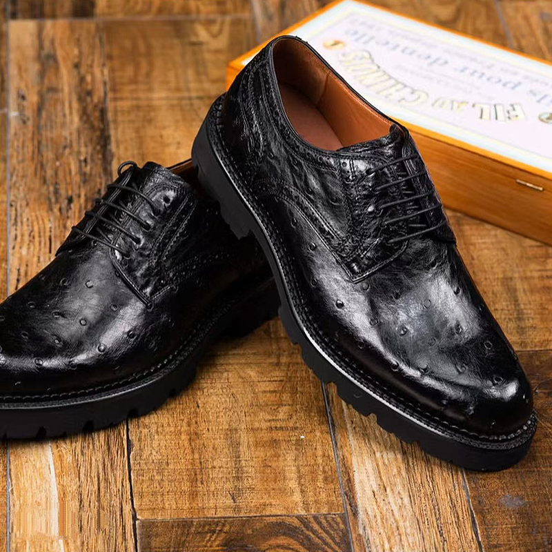 Ostrich Print Derby Shoe
